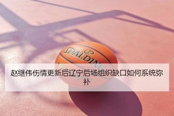 赵继伟伤情更新后辽宁后场组织缺口如何系统弥补